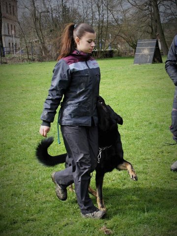 Ilo od Svatováclava